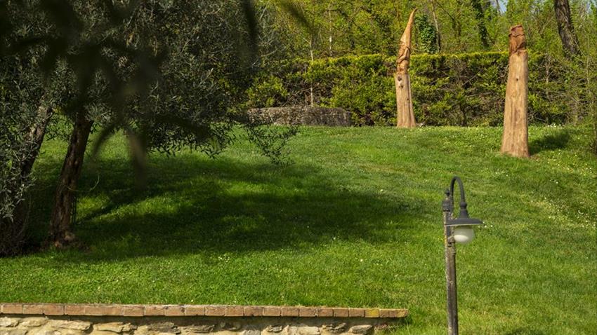 Offerta 2 Giugno