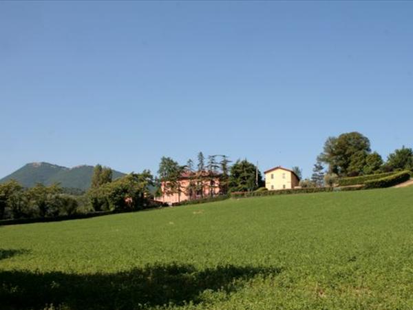 The field around the Casale degli Olmi
