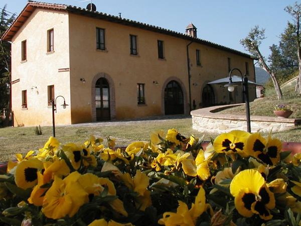 Flowers and Casale degli Olmi
